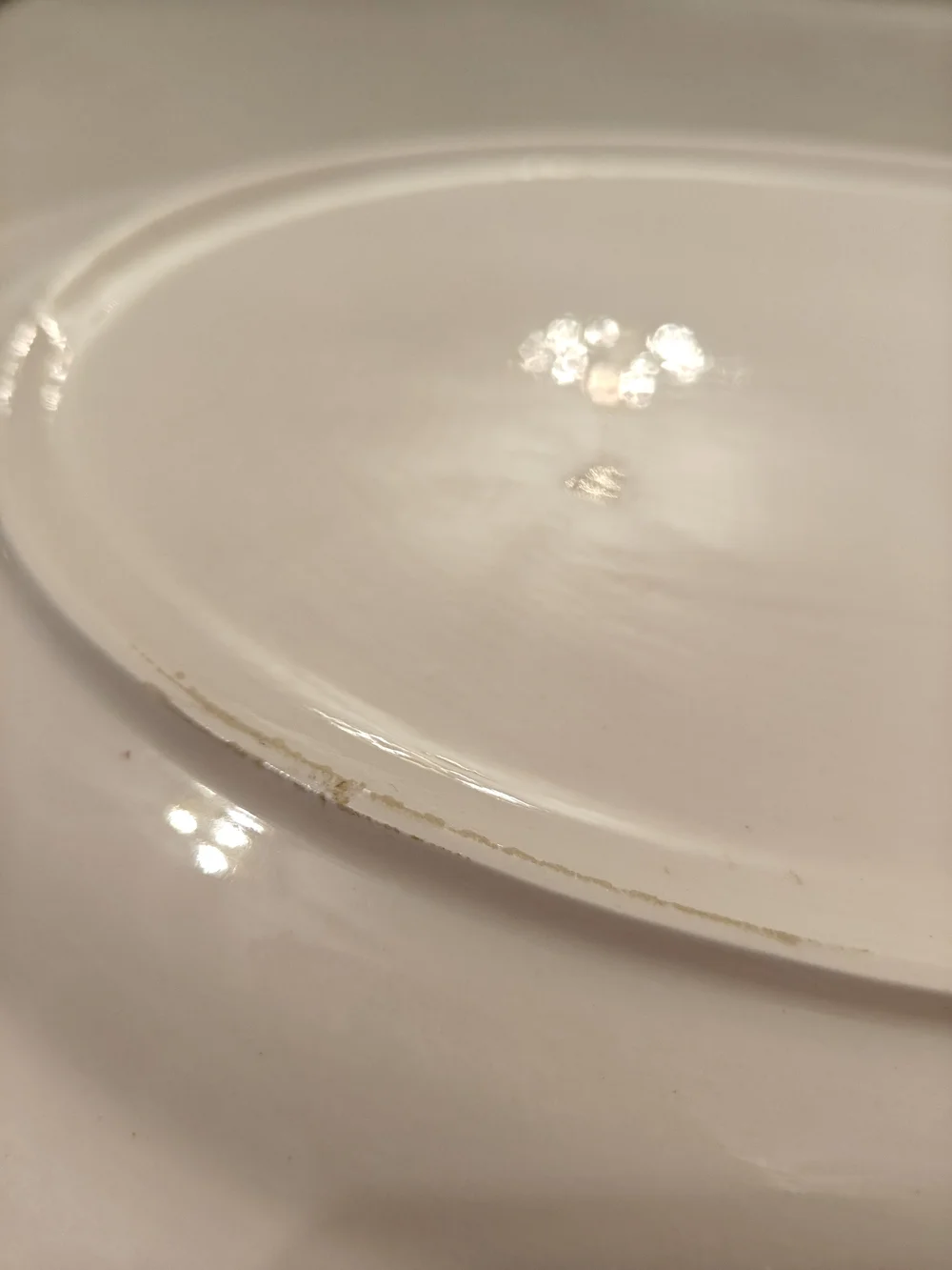 Vintage Turkey Serving Platter